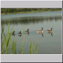 Niedringhaussee-Sundermannsee-Sandgrube 10.jpg